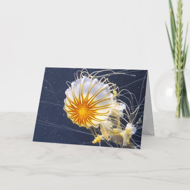 Jellyfish Aquarium Sjöliv Tillfällen Blank Tack Kort (Framsida)