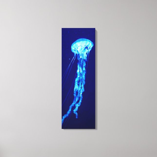 Jellyfish Canvas (Framsida)