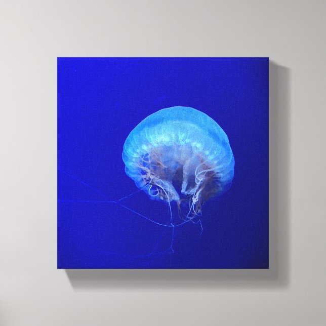Jellyfish Canvastryck (Framsida)