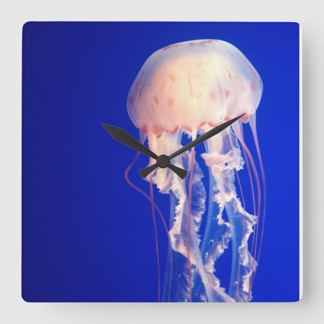 Jellyfish Clock Fyrkantig Klocka (Framsida)