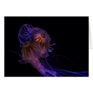 Jellyfish Dance Partners Hälsningskort