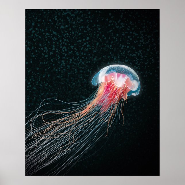 Jellyfish deep sea creature illustration print poster (Framsidan)
