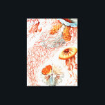 Jellyfish, Discomedusae, Ernst Haeckel Canvastryck<br><div class="desc">Jellyfish,  Discomedusae Scheibenquallen av Ernst Haeckel Kanvastryck</div>