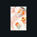 Jellyfish, Discomedusae, Ernst Haeckel Canvastryck<br><div class="desc">Jellyfish,  Discomedusae Scheibenquallen av Ernst Haeckel Kanvastryck</div>