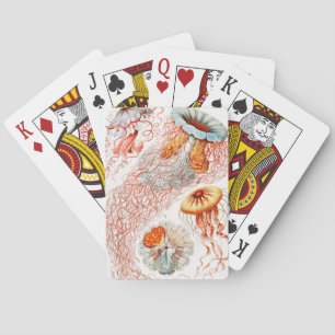 Jellyfish, Discomedusae, Ernst Haeckel Casinokort