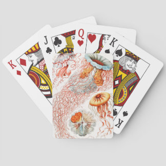 Jellyfish, Discomedusae, Ernst Haeckel Casinokort