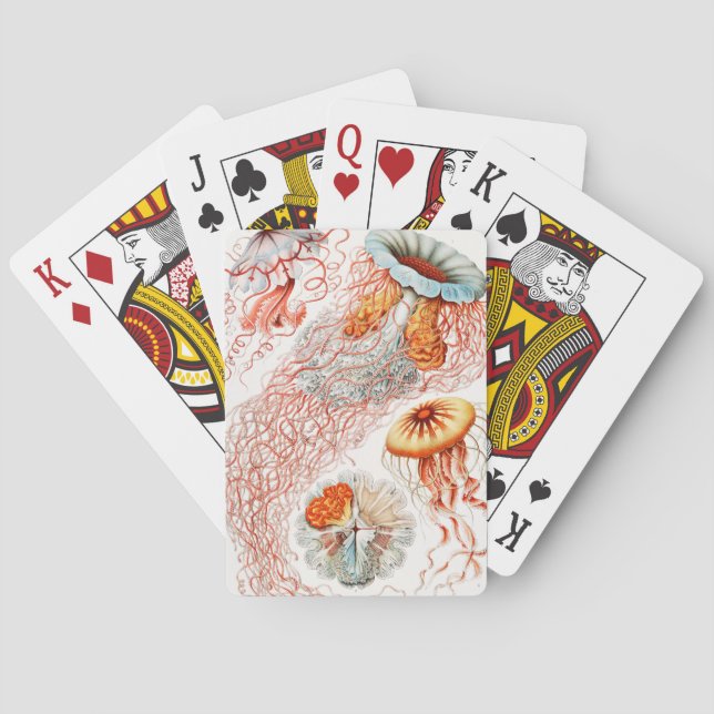 Jellyfish, Discomedusae, Ernst Haeckel Casinokort (Baksidan)