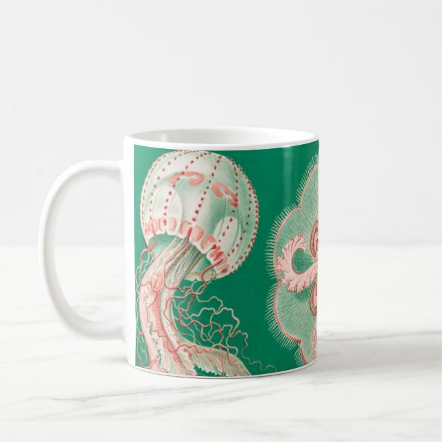 Jellyfish, Discomedusae, Ernst Haeckel Kaffemugg (Vänster)