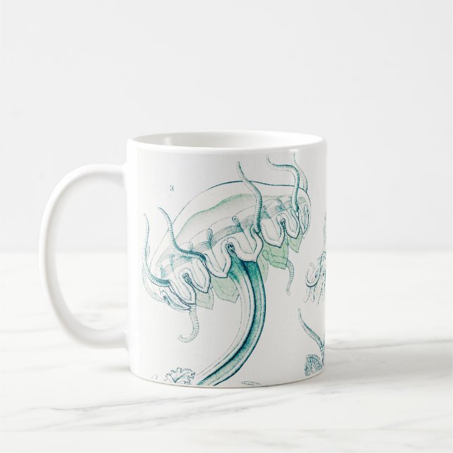 Jellyfish, Discomedusae, Ernst Haeckel Kaffemugg (Vänster)