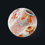 Jellyfish, Discomedusae, Ernst Haeckel Knapp<br><div class="desc">Jellyfish,  Discomedusae Scheibenquallen av Ernst Haeckel Button</div>