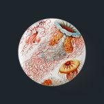 Jellyfish, Discomedusae, Ernst Haeckel Knapp<br><div class="desc">Jellyfish,  Discomedusae Scheibenquallen av Ernst Haeckel Button</div>