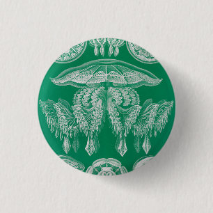 Jellyfish, Discomedusae, Ernst Haeckel Knapp