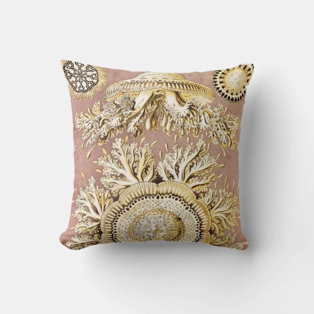 Jellyfish, Discomedusae, Ernst Haeckel Kudde (Framsida)