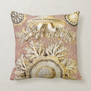 Jellyfish, Discomedusae, Ernst Haeckel Kudde