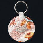 Jellyfish, Discomedusae, Ernst Haeckel Nyckelring<br><div class="desc">Jellyfish,  Discomedusae Scheibenquallen av Ernst Haeckel Keychain</div>