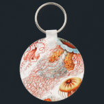 Jellyfish, Discomedusae, Ernst Haeckel Nyckelring<br><div class="desc">Jellyfish,  Discomedusae Scheibenquallen av Ernst Haeckel Keychain</div>