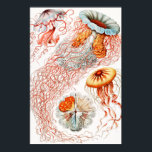 Jellyfish, Discomedusae, Ernst Haeckel Poster<br><div class="desc">Jellyfish,  Discomedusae Scheibenquallen av Ernst Haeckel Poster</div>