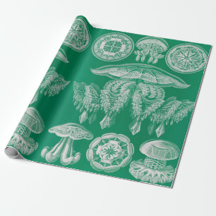 Jellyfish, Discomedusae, Ernst Haeckel Presentpapper