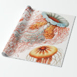 Jellyfish, Discomedusae, Ernst Haeckel Presentpapper<br><div class="desc">Jellyfish,  Discomedusae Scheibenquallen av Ernst Haeckel Wrapping Papprare</div>