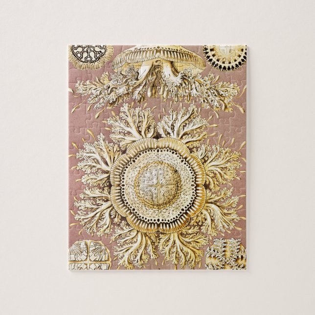 Jellyfish, Discomedusae, Ernst Haeckel Pussel (Vertikal)