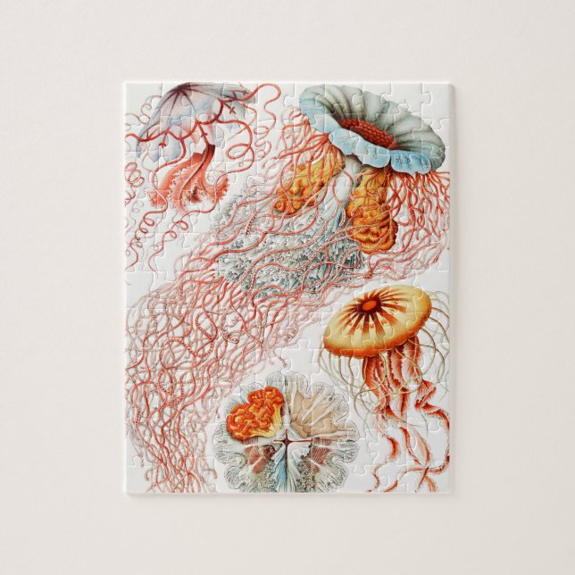 Jellyfish, Discomedusae, Ernst Haeckel Pussel (Vertikal)