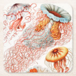 Jellyfish, Discomedusae, Ernst Haeckel Underlägg Papper Kvadrat<br><div class="desc">Jellyfish,  Discomedusae Scheibenquallen av Ernst Haeckel Papprare Underlägg</div>
