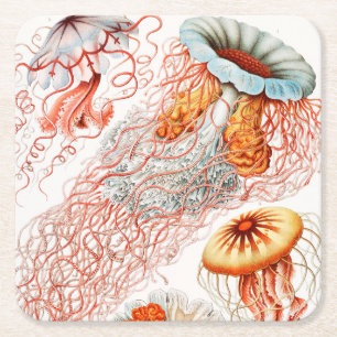 Jellyfish, Discomedusae, Ernst Haeckel Underlägg Papper Kvadrat