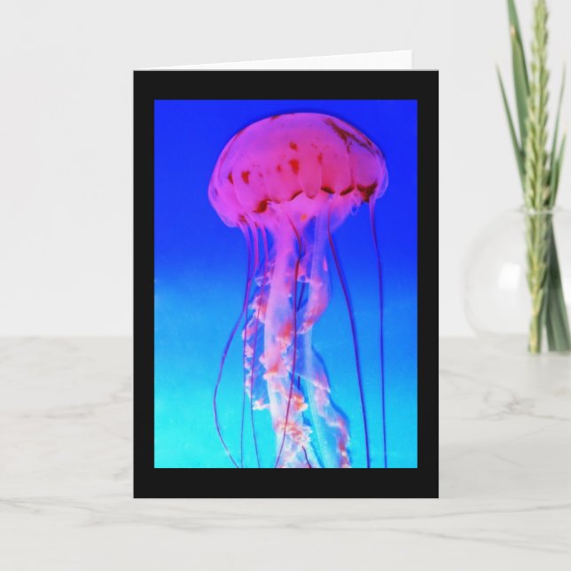 Jellyfish Greeting Card Kort (Framsida)