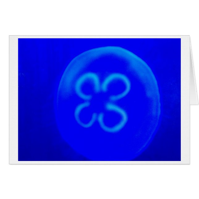 Jellyfish Hälsningskort (Framsidan Horizontal)