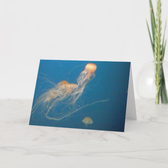 JellyFish-hälsningskort Kort (Framsida)