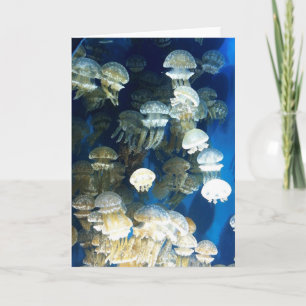 Jellyfish-hälsningskort Kort
