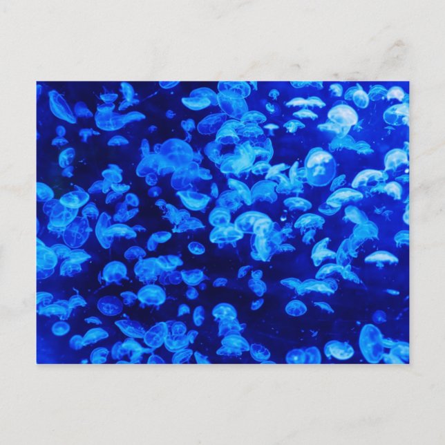 Jellyfish in Deep Blue Sea Vykort (Framsida)