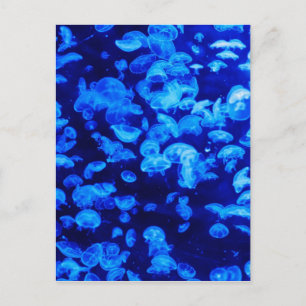 Jellyfish in Deep Blue Sea Vykort