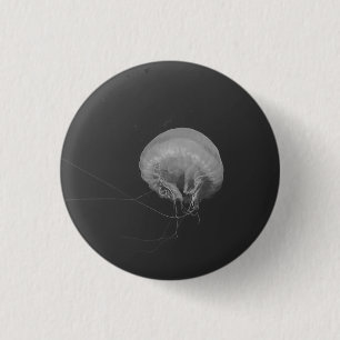 Jellyfish Knapp