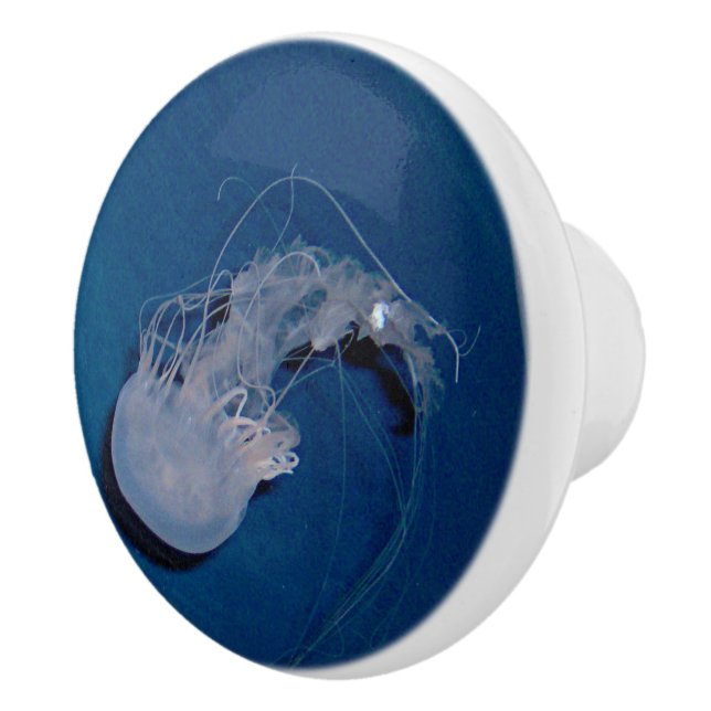 Jellyfish Knopp (Höger)