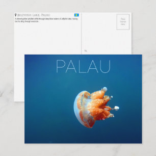 Jellyfish Lake, Palau Reseminningskort Vykort