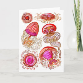 Jellyfish Leptomedusae in Bright Rosa Kort