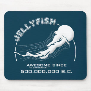 Jellyfish Living fossil Musmatta