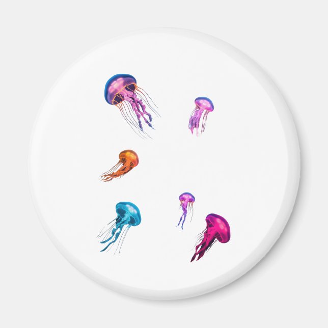 jellyfish magnet (Framsidan)