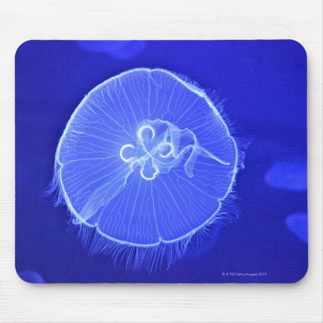 Jellyfish Musmatta (Framsidan)
