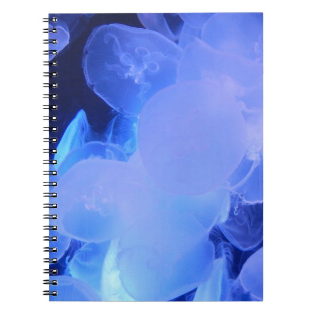 JELLYFISH NOTEBOOK ANTECKNINGSBOK (Framsidan)