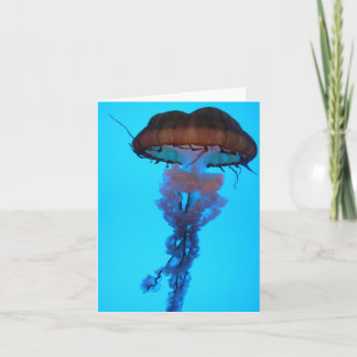 Jellyfish Notecard Kort