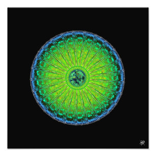 Jellyfish paraply fototryck