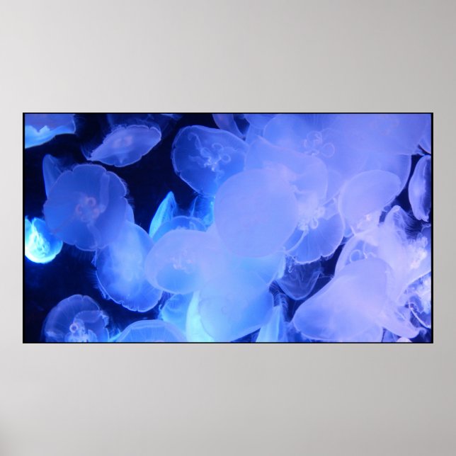 JELLYFISH POSTER (Framsidan)