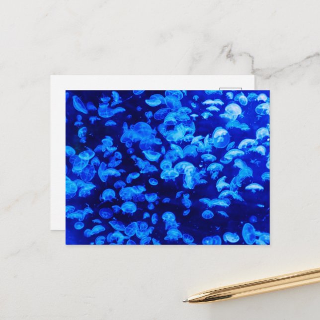 Jellyfish, Sea Animals, Sea Life, Ocean Animals Vykort (Fram/Back In Situ)