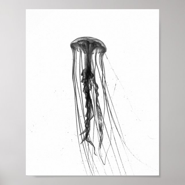 Jellyfish Silhouette | POSTER (Framsidan)