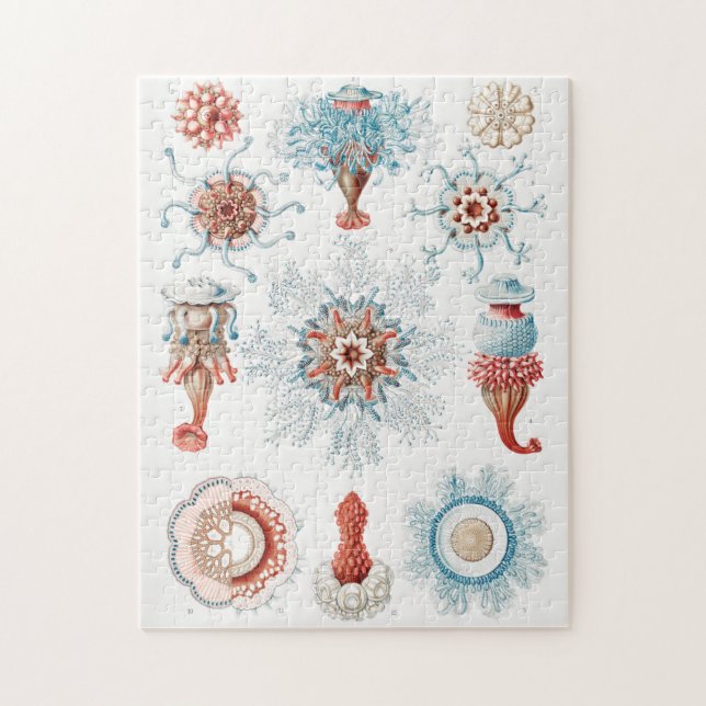 Jellyfish, Siphonophorae Staatsquallen Marine Life Pussel (Vertikal)