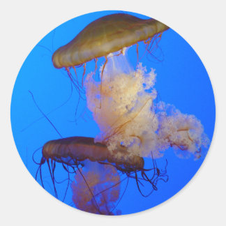 Jellyfish Sticker Runt Klistermärke