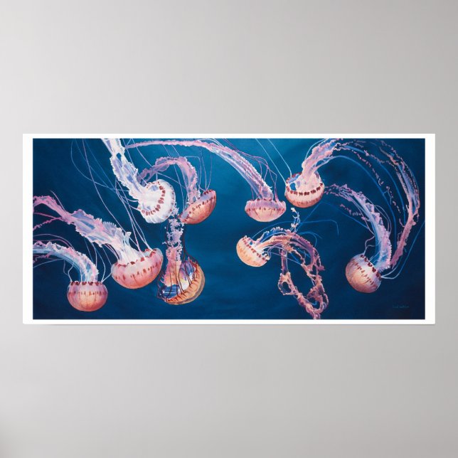 Jellyfish Sylt av Paul Jackson, aws, nws Poster (Framsidan)