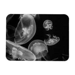Jellyfish Underwater Magnet
